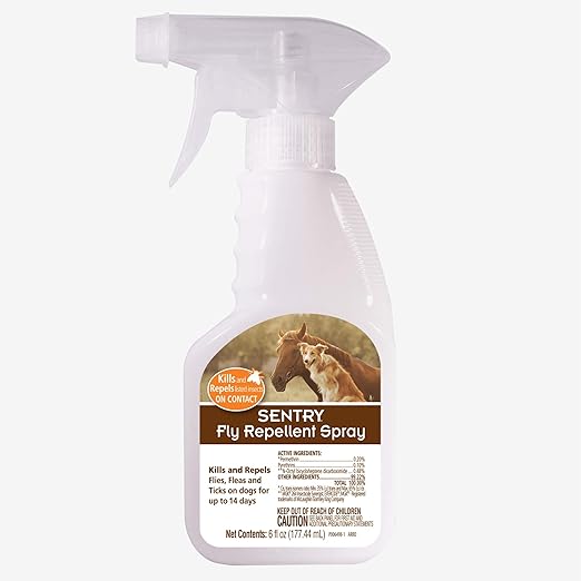 pet cargo american airlines