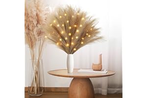FLACCHI Battery Lights Faux Pampas Grass - 27" Pampas Grass with 36 Fairy Lights Boho Home Decor Bouquet, Phragmites Flowers,Bouquet for Wedding Christmas Floral Home Decorations (Taupe)