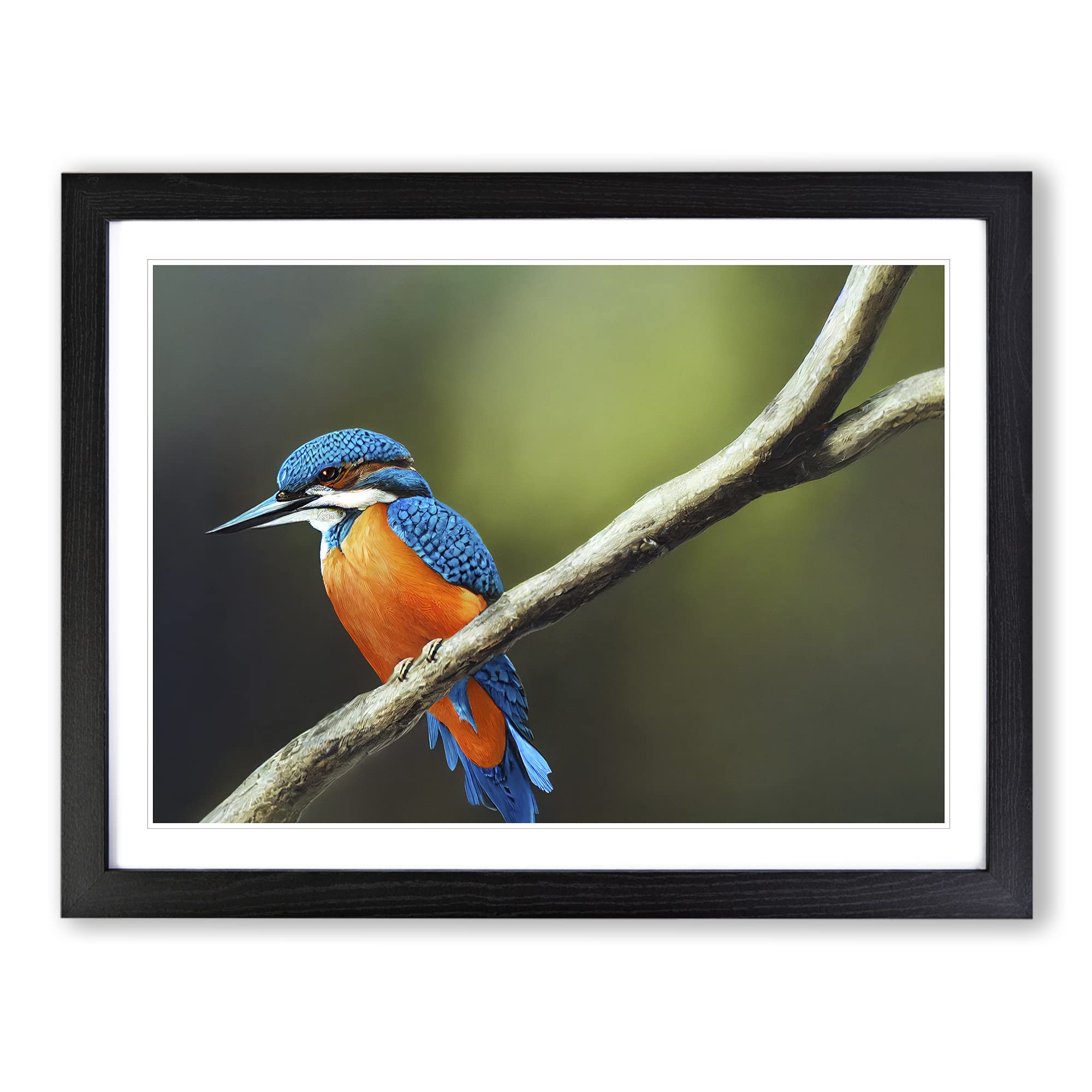 Unreal Kingfisher Bird Framed Print | A4 Black Framed Wall Art | Ready to Hang | Modern Nature Picture | Living Room Bedroom Lounge Office