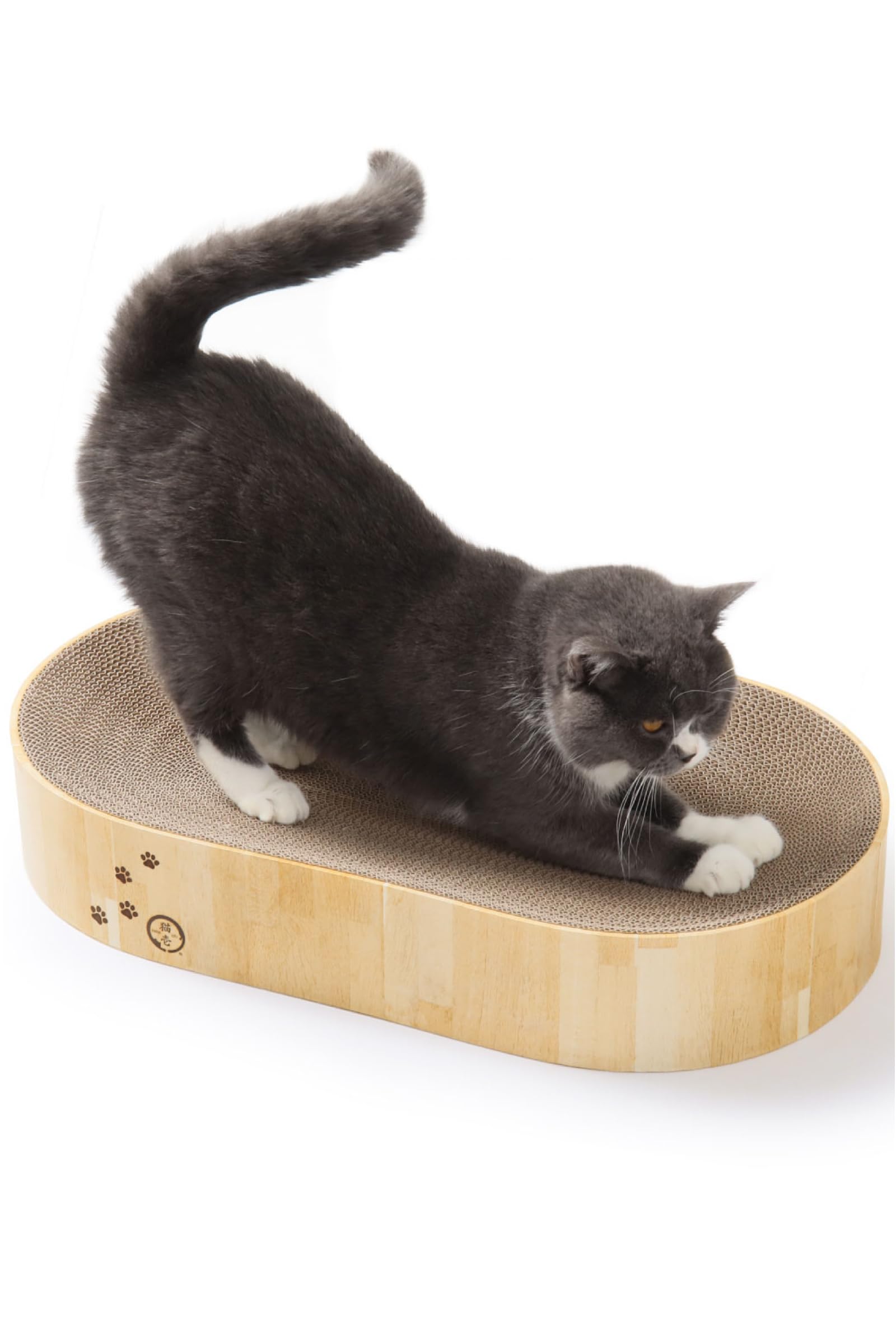 バリバリボウルXL オーバル ライトブラウン商品画像