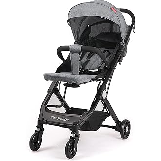 2019 lightweight stroller