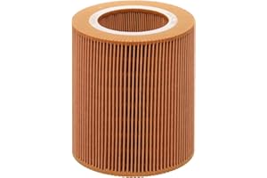 Kofil 89295976 Air Filter, Compatible with Air Compressor, Replaces PA30015 AF26419 1613872000 6211472300