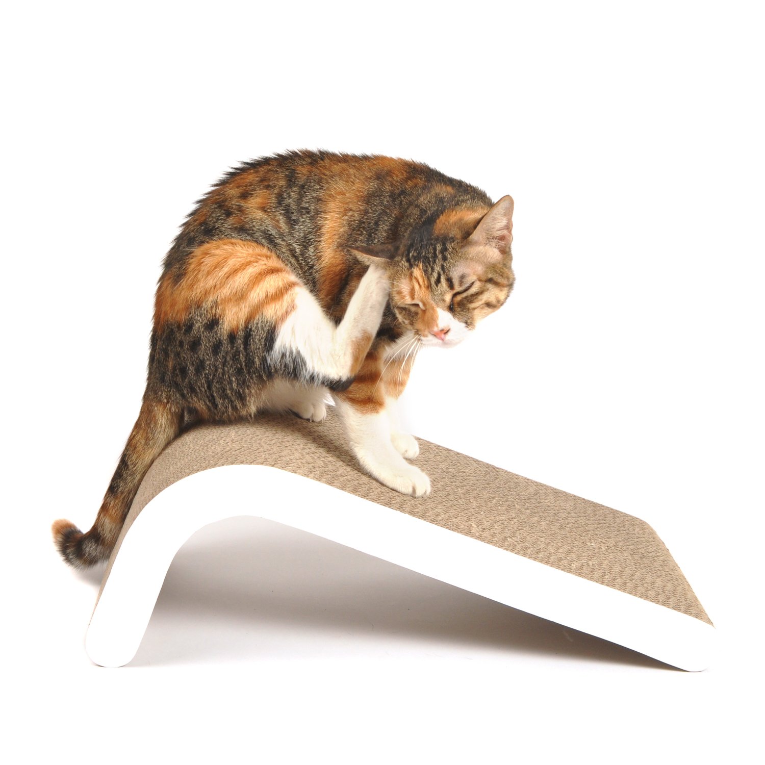 4CLAWS Incline Scratching Pad (White) BASICS Collection Cat Scratcher eBay