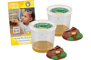 INSECT LORE Two Cups of Caterpillars - Life Science & STEM Education - Butterfly Kit Refill – Painted Lady Butterflies – Includes Two Chrysalis Holding Logs Instructions - Butterfly Lifecycle Observation