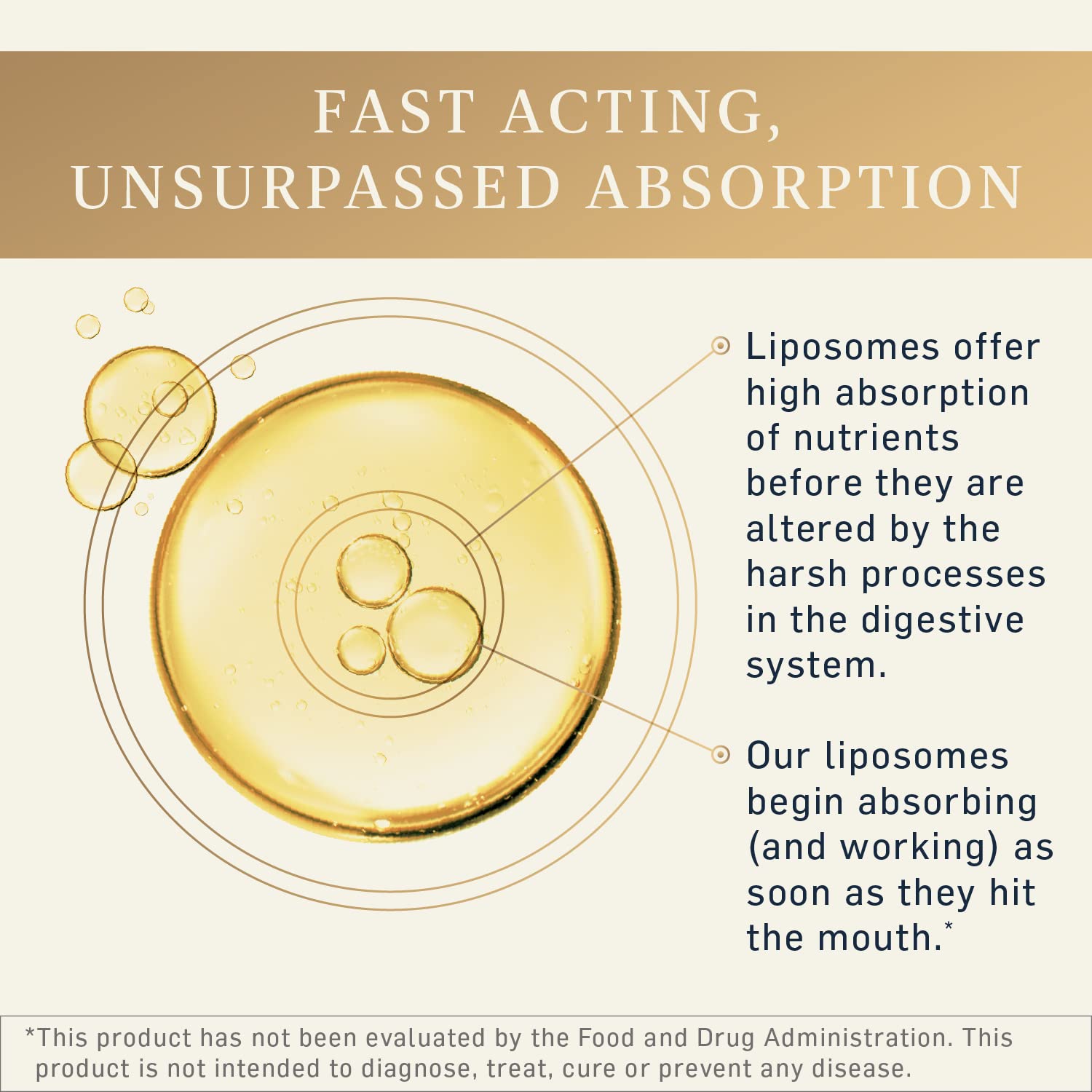 Quicksilver Scientific Liposomal GABA + L Theanine - Calm, Stress Response & Brain Support - Bioavailable GABA Supplement with L Theanine 100mg (1.7oz/50ml)