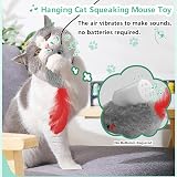FYNIGO Cat Toys for Indoor Cats 2 Pack Self Play Hanging Mouse Toy view 2