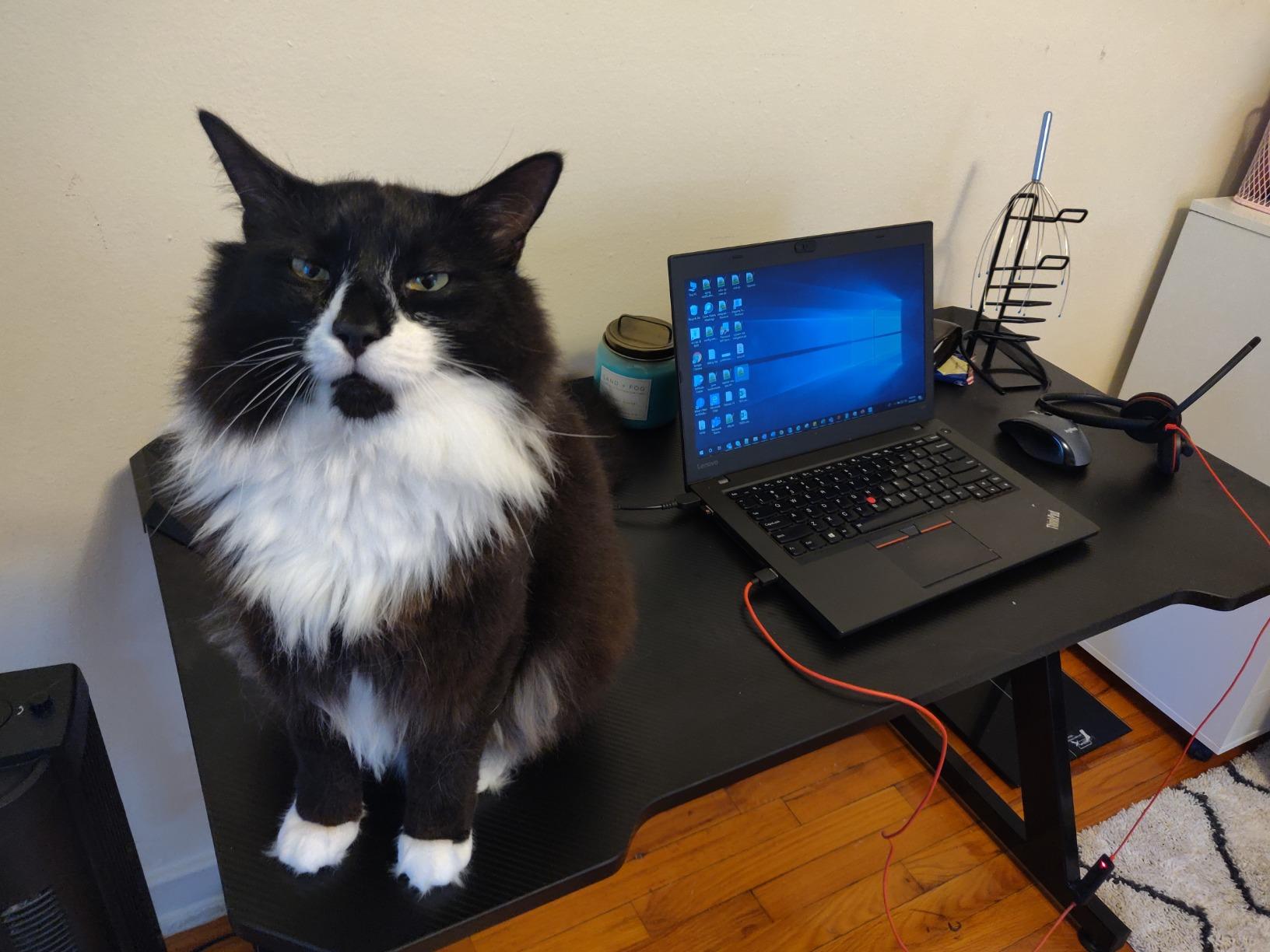 $33/mo - Finance Homall 44 inch Computer Table Z Shaped PC Gaming ...