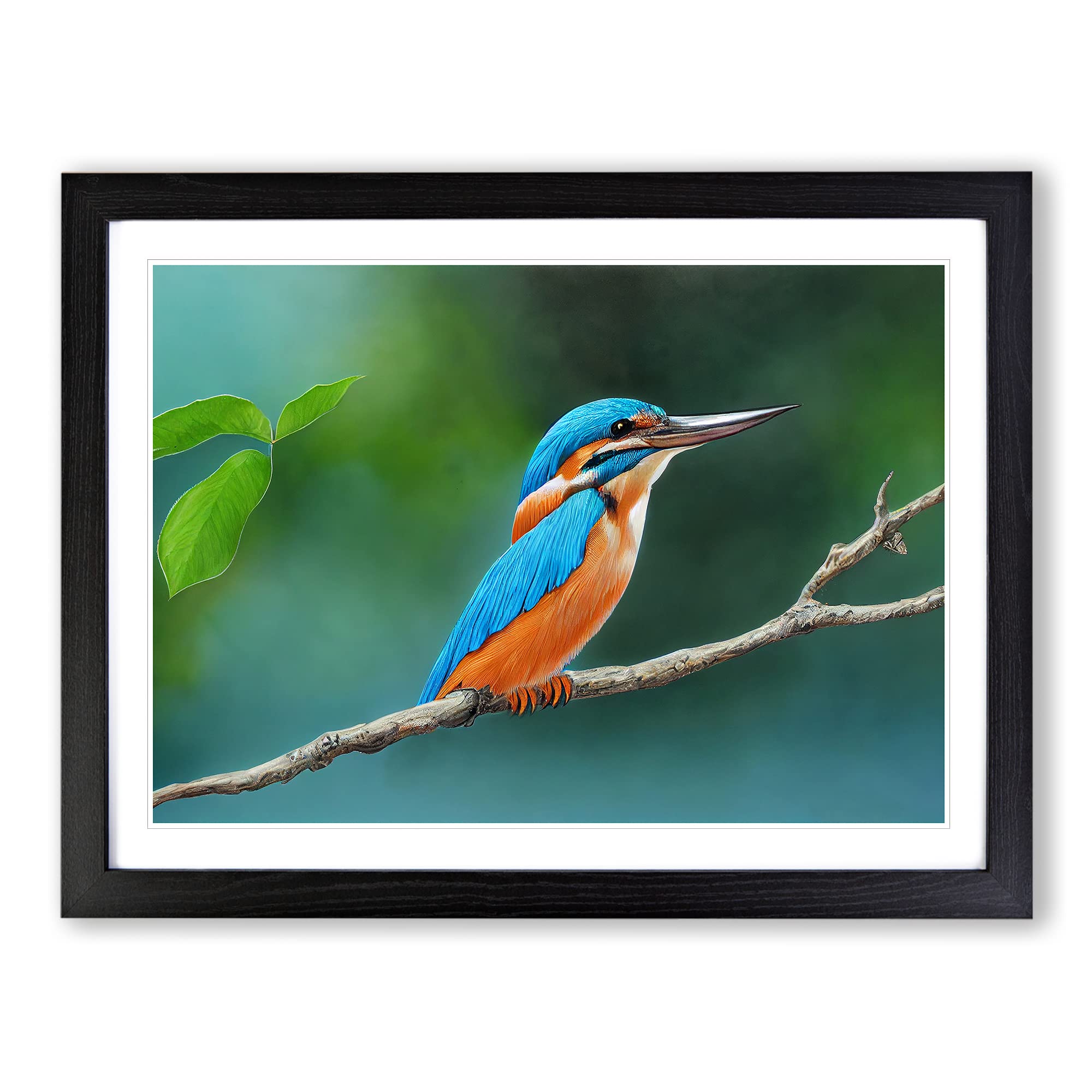 Evocative Kingfisher Bird Framed Print | A4 Black Framed Wall Art | Ready to Hang | Modern Nature Picture | Living Room Bedroom Lounge Office