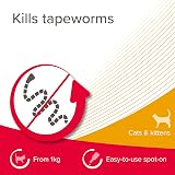 Beaphar WORMclear Spot-On for Cats 2 Pipettes Kills Tapeworms Vet Strength view 4