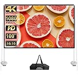 Outdoor Projector Screen with Stand 100