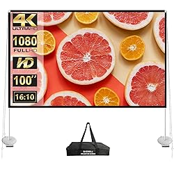 Outdoor Projector Screen with Stand 100