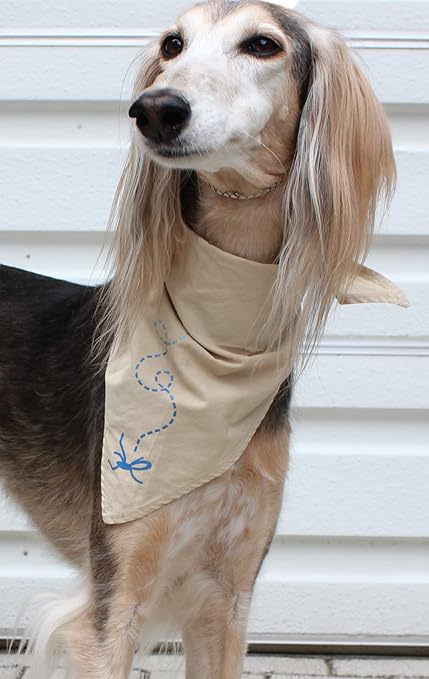 Amazon インセクトシールド 犬用 虫よけバンダナ ベージュ Insectshied 防虫加工 虫除け ワンちゃんの虫よけ インセクトシールド バンダナ 通販