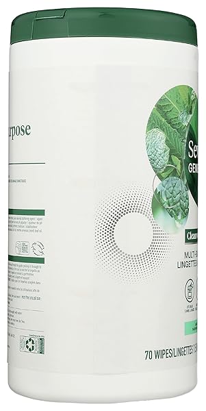 SEVENTH GENERATION MULTI-SURFACE WIPES, GARDEN MINT SCENTED, 70 COUNT
