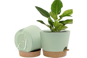 UOUZ Pots for Indoor Plants,12 inch 2 Pack Large Self Watering Plant Pots with Drainage Holes Plastic Flower Pots with Deep Reservoir, Green with Brown