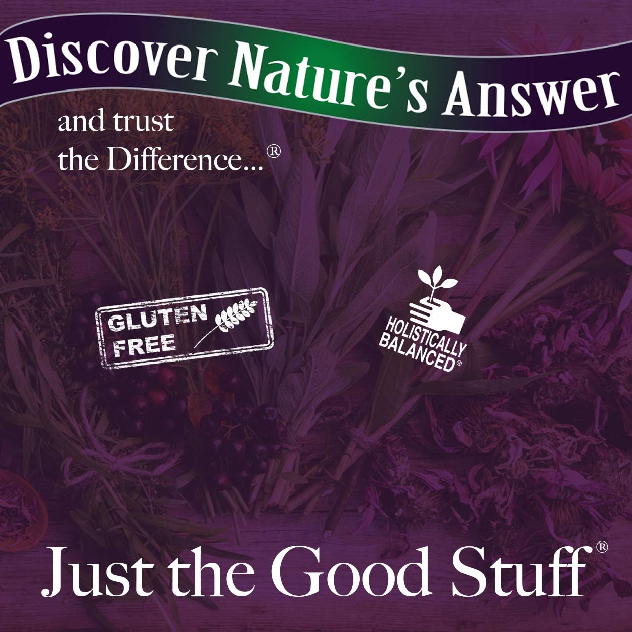 Nature's Answer Liquid Vitamin B-Complex Supports Healthy Energy Levels | Promotes Healthy Nerve Function | All-Natural Tangerine Flavor | Gluten-Free & Benzoate-Free 16oz: Health & Personal Care
