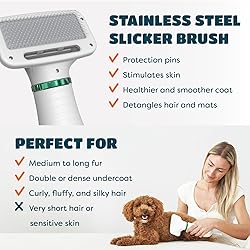 2-in-1 Dog Hair Dryer with Slicker Brush for
