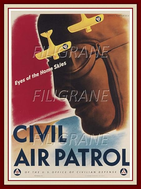 avion patrulla canina amazon