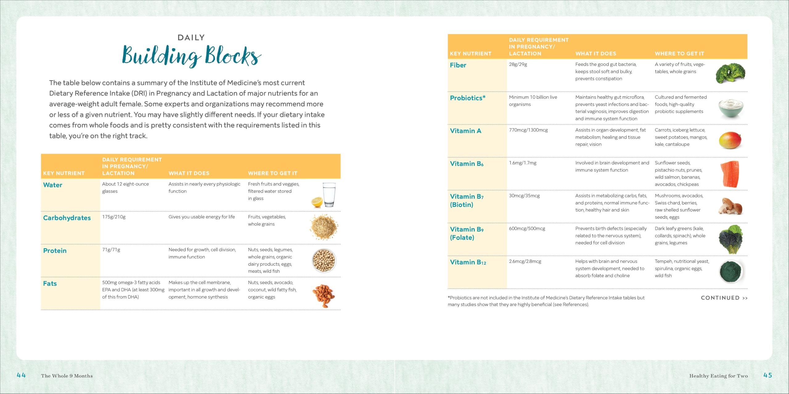 The Whole 9 Months: A Week-By-Week Pregnancy Nutrition Guide with Recipes for a Healthy Start