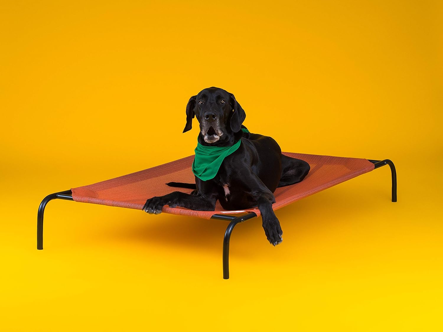 Coolaroo The Original Elevated Pet Bed, Large, Aquatic Blue : Pet Supplies