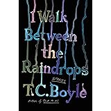 I Walk Between the Raindrops: Stories