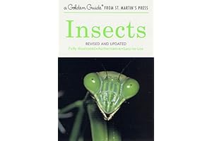 Golden Guide 160 Pages Paperback Insects Book (A Golden Guide from St. Martin's Press)