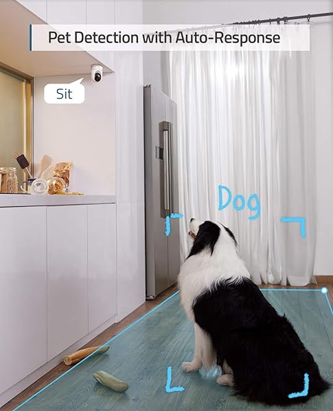 EUFY SECURITY 2K INDOOR CAM PAN & TILT, PLUG-IN SECURITY INDOOR CAMERA WITH WI-FI, IP CAMERA, HUMAN & PET AI, VOICE ASSISTANT COMPATIBILITY, MOTION TRACKING, HOMEBASE NOT REQUIRED (RENEWED)