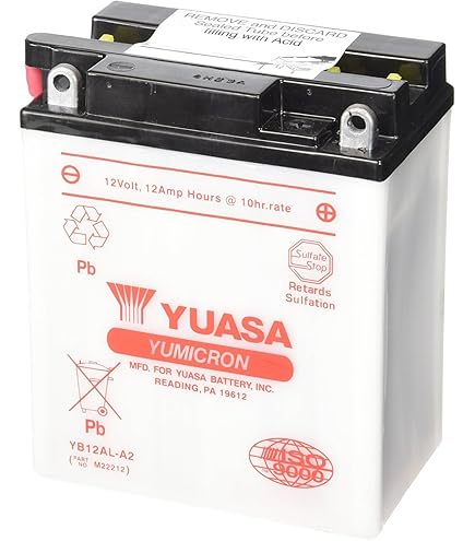 Amazon.com: Yuasa YUAM2221Y YB12AL-A Battery : Automotive
