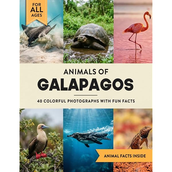 Galapagos (Earth's Extraordinary Places): DK, Backshall, Steve