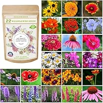 2.1OZ Wildflower Seeds 22 Varieties Perennial Flower Seed for