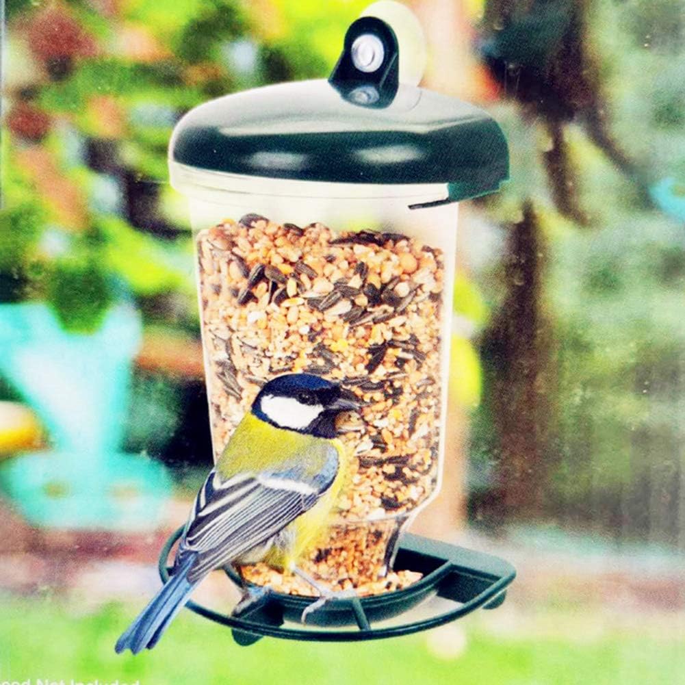 bird feeder automatic