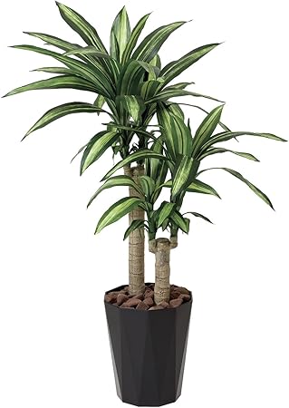 Amazon 造花アート 観葉植物 幸福ノ木1 1 誕生日祝い 結婚祝い 結婚記念日 出産祝いに ビジネスフラワー 人工観葉植物 通販 Amazon 造花アート 観葉植物 幸福ノ木1 1 誕生日祝い 結婚祝い 結婚記念日 出産祝いに ビジネスフラワー 人工観葉植物 通販