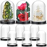 Zhengmy Plastic Dome Display Case Cloche Bell Jar