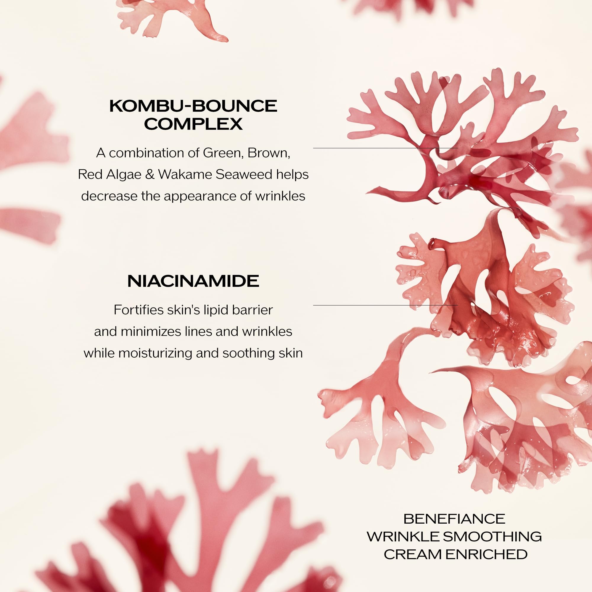 Shiseido Benefiance Wrinkle Smoothing Cream Enriched (Large Size, 75 mL) + Deep Cleansing Foam (125 mL)