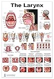 Blue Tree Publishing Larynx LP
