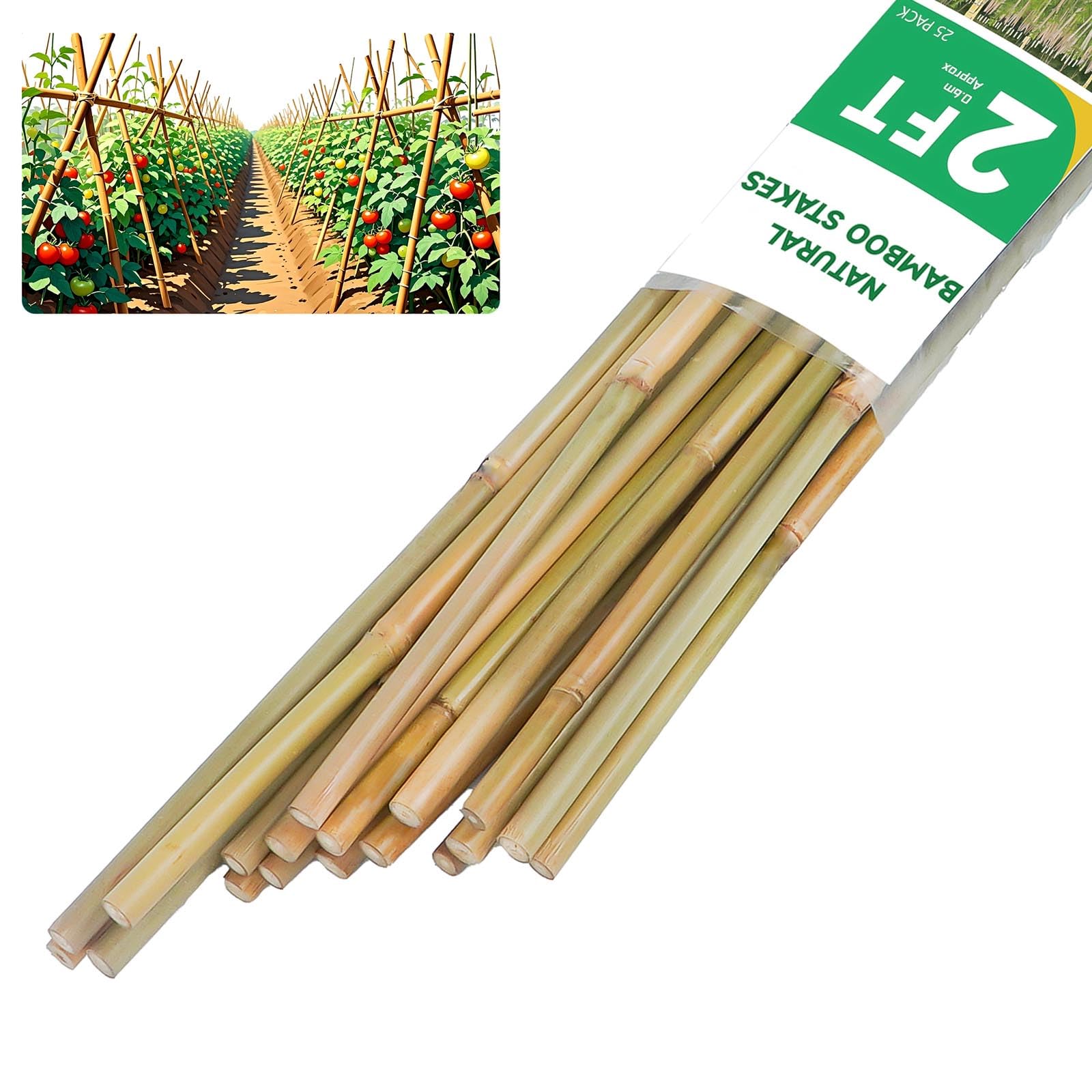 Photo 1 of 2ft Natural Bamboo Plant Stakes for Tomatoes, Beans, Flowers, Potted, Climbing Plants 25pcs