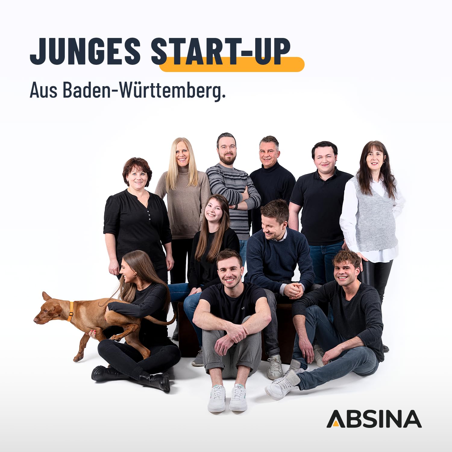 ABSINA Akku Ladegerät AA AAA & 9V - NiMH Batterieladegerät AAA AA & 9V Block 4-Fach für wiederaufladbare Batterien - Akkuladegerät - Battery Charger - Batterie Aufladegerät 8