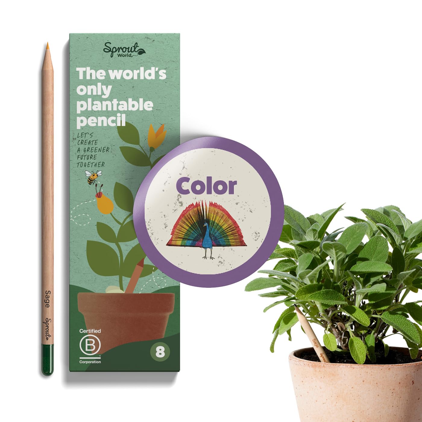 Photo 1 of SproutWorld Wood-Cased Pencils | Color Edition | HB Pre-Sharpened Plantable Wooden Pencils with flower, Herb & Vegetable Seeds |Ideal Gift for Coloring Books | 8 Pack