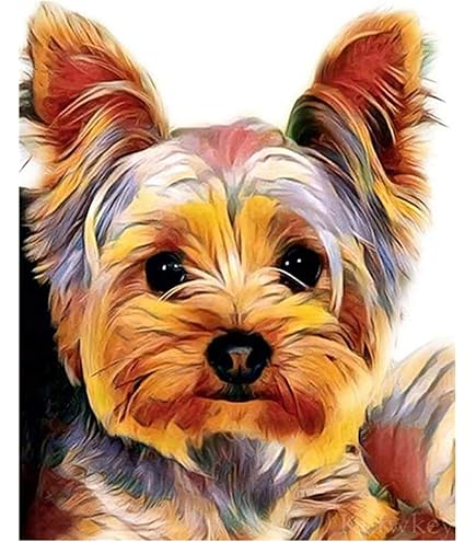Broderie Diamant 5D Diamonds Painting Kit Complet Chien Yorkshire Terrier Mosaïque Au Point De Croix Canevas,Strass,Peinture Murale Pour Adultes Debutant Décoration Murale À La Maison