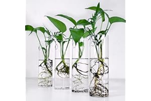 TECHSHARE Wall Hanging Planter Glass Plant Propagation Station，Plant Terrarium Perfect for Home Garden Office Decoration Accessories-4 Cylinder Shape Container