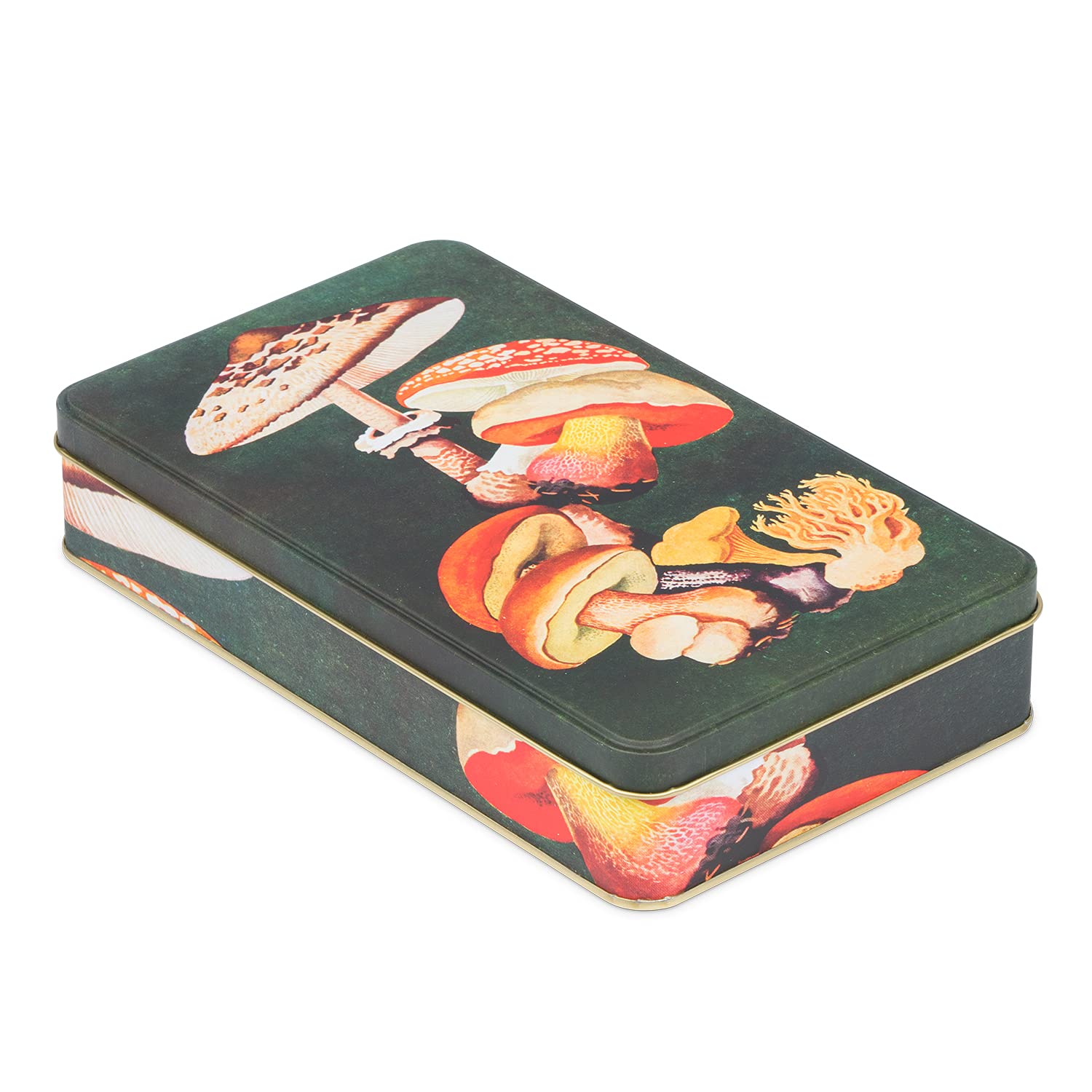 NOTIQUE Metal Tin with Lid - Nostalgic Style Biscuit Tin - Storage Tin for Small Objects - Herbarium Collection (Mushrooms)