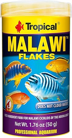 tropical malawi fish