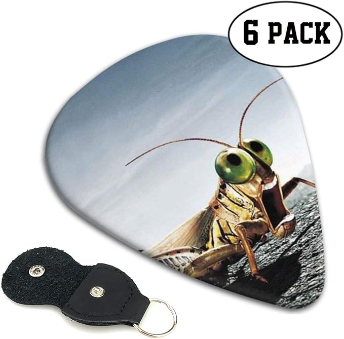Amazon Com Grasshopper Insects Guitar Picks 6 Pack Guitar Plectrums For Electric Guitar Acoustic Guitar Mandolin And Bass 0 46mm Musical Instruments amazon com