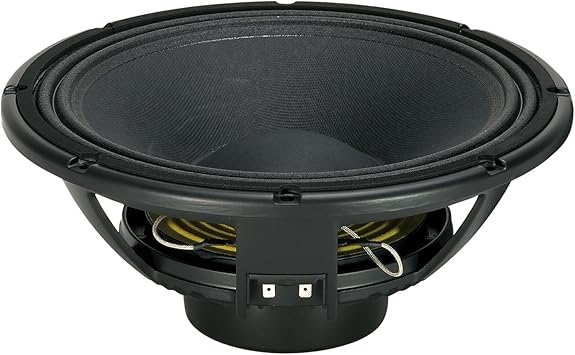 rcf 12 inch mid speaker