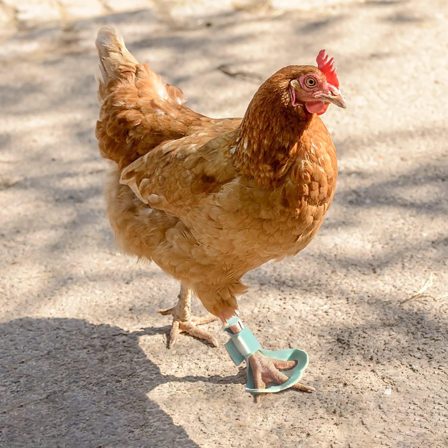 Photo 1 of 2 Pack Chicken Protective Shoes for Chick Booster Hen Turkey Feet Paws Bumblefoot