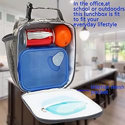 FlowFly Lunch box Insulated Soft Bag Mini Cooler