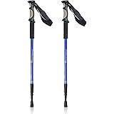 eddie bauer hiking poles