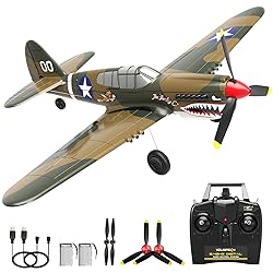 Losbenco RC Plane 4 Channel Remote Control