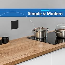LIDER Double Blank Wall Plate, Temperature and
