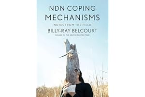 NDN Coping Mechanisms: Notes from the Field