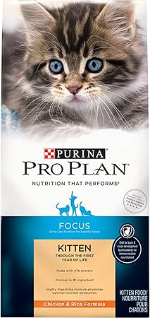 purina pro plan kitten focus